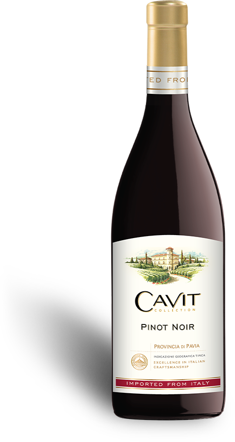 Cavit Pinot Noir Provincia de Pavia IGT
